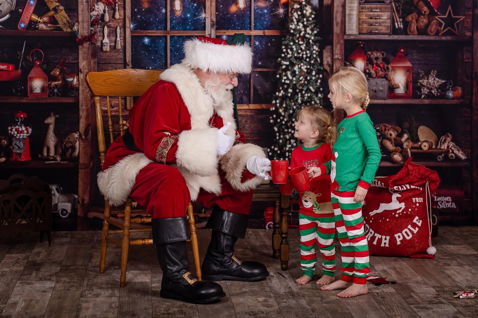 little girls with santa during their Raleigh Santa photo session